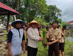 Bekali Siswa Keahlian Bid Pertanian dan Perikanan, SMAN 2 Pinrang Ajarkan Siswa Tanam Padi dan Tabur Bibit Ikan