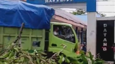 Angin Kencang dan Pohon Tumbang Akibatkan Satu Mobil Lecet dan Atap Seng Kelas Terbang di SMPN 9 Makassar