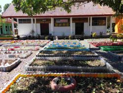 Manfaatkan Lahan Kosong dan Limbah, Siswa SMAN 2 Pinrang Tanam Sayuran