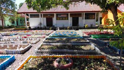 Manfaatkan Lahan Kosong dan Limbah, Siswa SMAN 2 Pinrang Tanam Sayuran