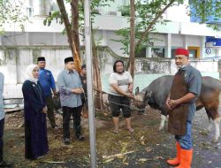 Pemkot Makassar Bagikan Daging Kurban Kepada Pegawai dan Petugas Kebersihan