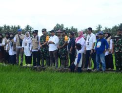 Kodim 1411/Bulukumba Siap Wujudkan Swasembada Pangan