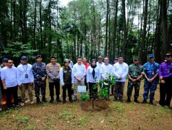 Pimpin Penanaman Pohon Serentak, Fatmawati Rusdi: Perkuat Kolaborasi Hijaukan Sulsel