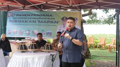 Panen Perdana di Maccini Sombala, Wali Kota Munafri Harap Budidaya Berkelanjutan di Makassar