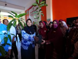 Dorong Sekolah Ramah Lingkungan, TP PKK Sulsel Gelar “Go to School” di SMAN 1 Wajo