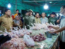 Jelang Idul Fitri, Wali Kota Makassar Pastikan Harga Pangan Stabil dan Pasokan Aman