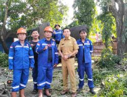 Pangkas 22 Pohon, Kepsek SMPN 18 Apresiasi DLH Kota Makassar