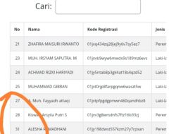 SPMB Online Parepare Diduga Bermasalah, Nomor Urut Hilang Misterius