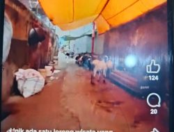 Lurah Baraya Akui Sulit Tertibkan Pedagang Kambing di Lorong 108, Diduga Ada Pembiaran