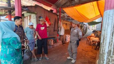 Polemik Pedagang Kambing di Lorong 108 Tuai Sorotan, Pemanfaatan Fasum – Fasos Dipertanyakan