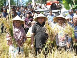 Petani Makassar Siapkan Strategi, Wali Kota Munafri: Langkah Nyata Jaga Kemandirian Pangan