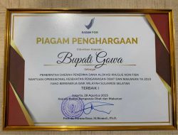 Komitmen Pengawasan Obat dan Makanan, Pemkab Gowa Raih Dua Penghargaan