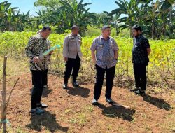 Tinjau Aset di Manggala, Wali Kota Munafri: Siap Jadi Ruang Hijau dan Lapangan Publik