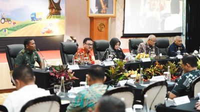 High Level Meeting, Sekda Sulsel Dorong Roadmap TP2DD 2026-2030 dan Optimalisasi dan KKPD