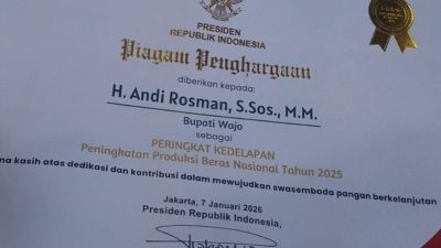 Peringkat 8 Produksi Beras Nasional, Andi Rosman: Bukti Kontribusi Wajo Wujudkan Swasembada Pangan Tahun 2025