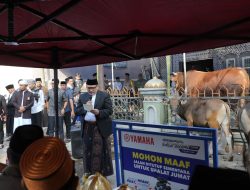 Saksikan Penyembelihan Sapi Kurban dari Presiden, Wali Kota Munafri: Terima Kasih Pak Prabowo