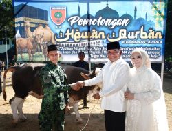 Idul Adha 1447 H, Pangdam XIV/Hasanuddin Salurkan Puluhan Hewan Kurban untuk Masyarakat