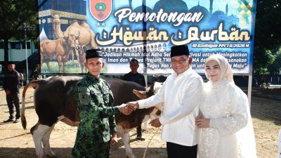 Idul Adha 1447 H, Pangdam XIV/Hasanuddin Salurkan Puluhan Hewan Kurban untuk Masyarakat